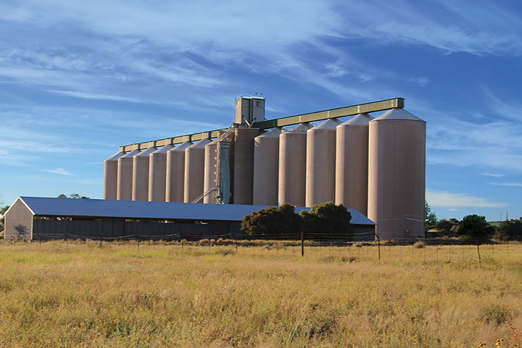 http://www.senwes.co.za/media/Global/images/Senwes/News/2020/09/Petrusburg-Silo_Web.jpg