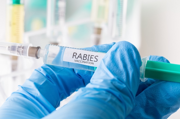 http://www.senwes.co.za/media/Global/images/Senwes/News/2020/09/rabies.jpg